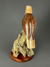 Load image into Gallery viewer, Bald Eagle of maple, myrtlewood and cascara on a driftwood base 
