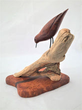 Load image into Gallery viewer, Shorebird of redwood burl facing down a perch of driftwood set on an inlaid redwood burl with a wenge wave through the base.