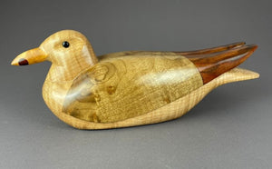 Western Gull of spalted alder, walnut, figured maple and bloodwood