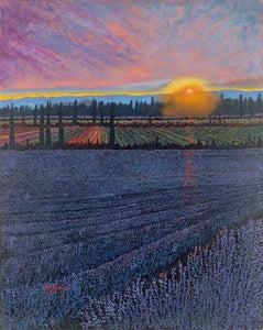 lavender fields in foreground, stting sun with cultivated fields between.