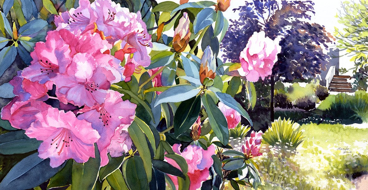 Rhododendron in the Garden – The Highlight Gallery