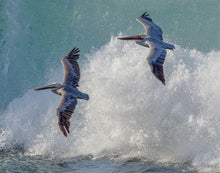 Load image into Gallery viewer, Riding the Waves