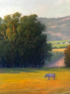 golden field with a cow feeding, eucalyptus trees, fence, 