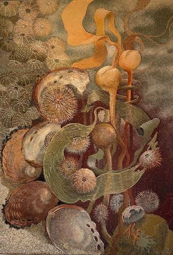 Artistic depiction of sea anemones and seaweed with a focus on natural textures and colors.
