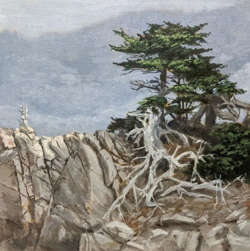 Against a misty, rocky background, and on a sheer rock outcropping, a cypress tree flourishes in green life, half of it having died.