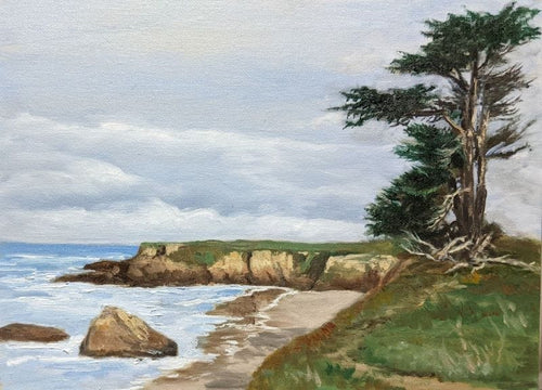 Tall ancient cypress on the headlands overlooking Pudding Creek beach, green grass and soft blue ocean.