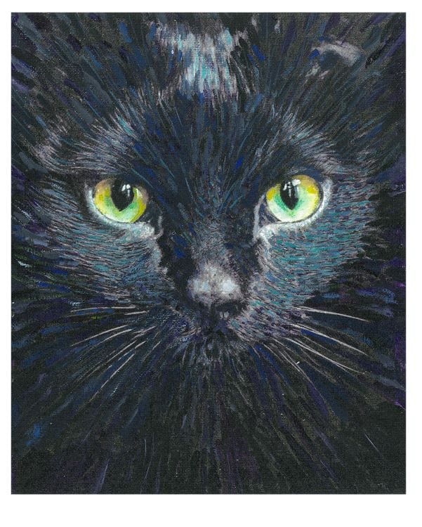 Silky black cat face with yellow green eyes and green reflection on the fur.