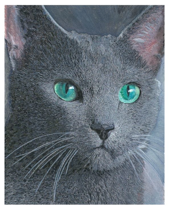 Soft grey short hair cat face with luminous grren eyes and pink inner ears.
