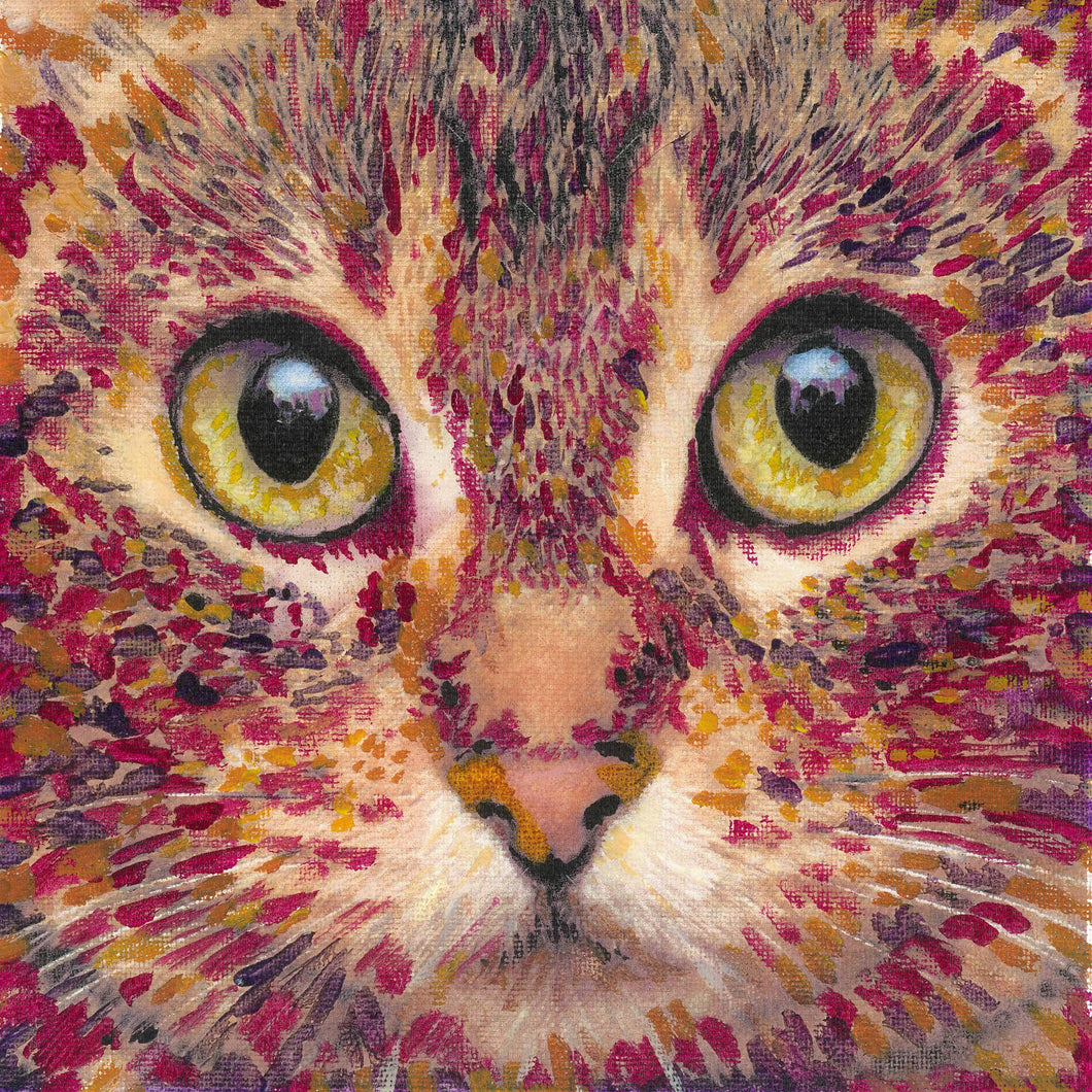 Close up of a wide eyed cat, in reds, golden yellow eyes, intensely staring, red and gold fur.