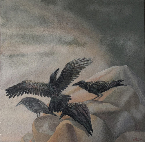 Messenger Ravens on rocks 