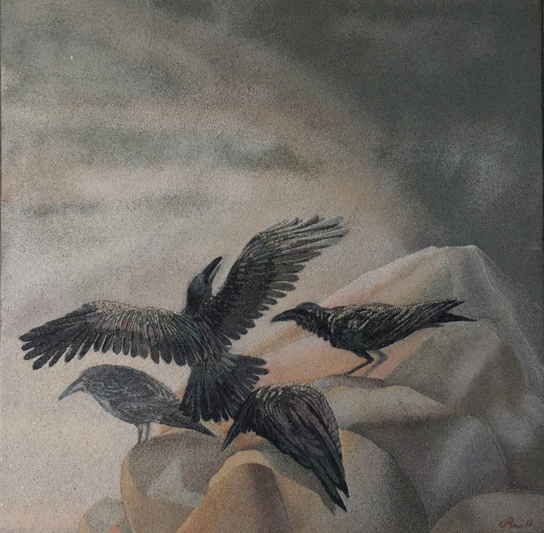 Messenger Ravens on rocks 