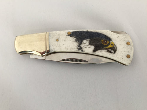 Peregrine Falcon Knife, scrimshaw on bone - The Highlight Gallery