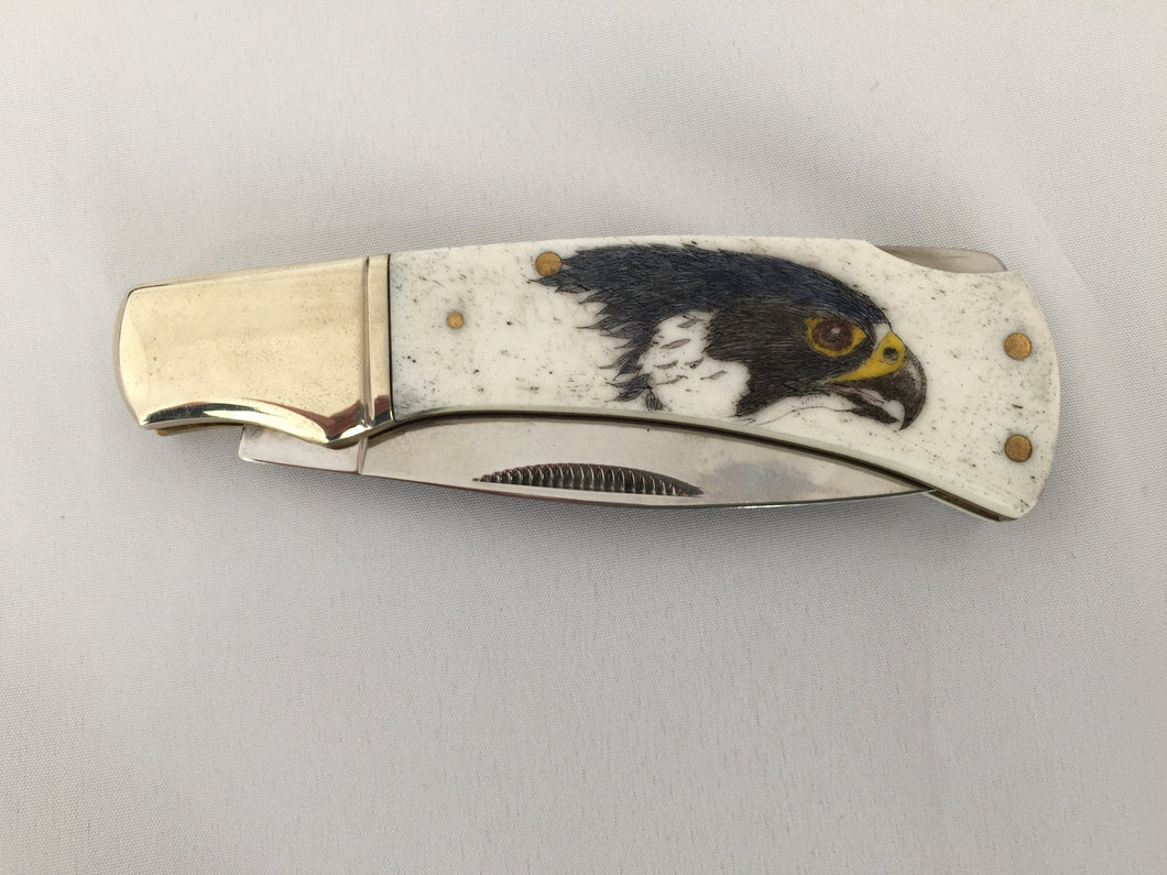 Peregrine Falcon Knife, scrimshaw on bone - The Highlight Gallery