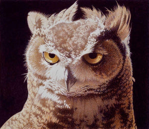Horned Owl's yellow eyes stare out, exquisitely detailed feathers depicted in shades of tans and browns with creamy whites.