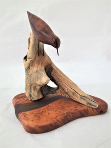 Shorebird of redwood burl facing down a perch of driftwood set on an inlaid redwood burl with a wenge wave through the base.