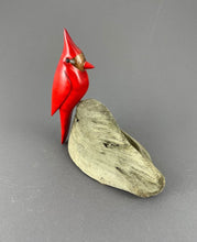 Load image into Gallery viewer, Cardinal sculpture of dyed maple and walnut on a driftwood base
