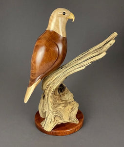 Bald Eagle of maple, myrtlewood and cascara on a driftwood base 