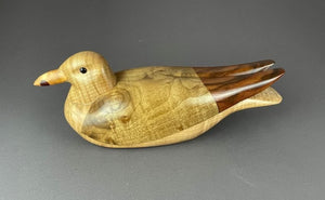 Western Gull of spalted alder, walnut, figured maple and bloodwood