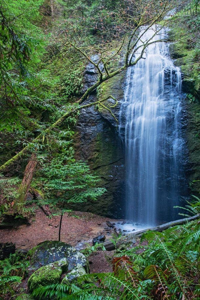 Chamberlain Falls