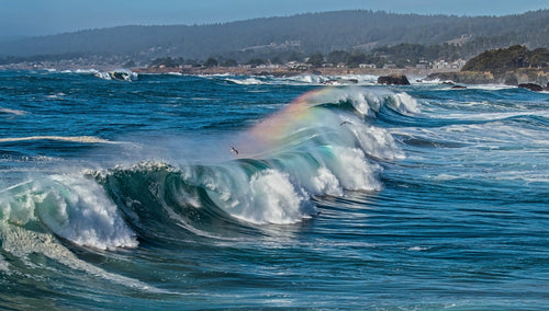 magnificent wave caught with a rainbow halo above and birds riding the air just above.