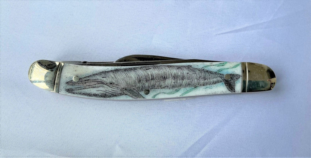 Blue Whale Scrimshaw Knife #19-03